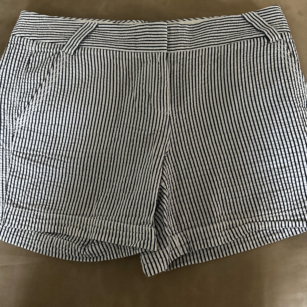 J Crew Shorts City Fit Stripe Size 10
